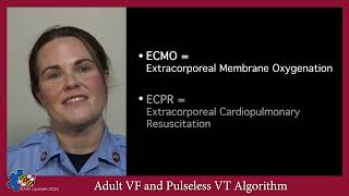 EMS Update 2024 Adult VF and Pulseless VT Algorithm [upl. by Eiroj]