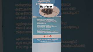 Rat fever 🫢short shorts rat shortviral [upl. by Elissa]