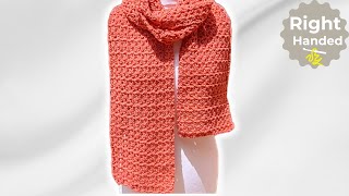 Beginners Guide to Crocheting a Scarf Easy V Stitch Pattern [upl. by Annayek]