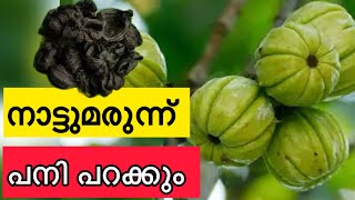 പനിമാറാനുള്ള ഒരു നാട്ടുവൈദ്യം Ayurvedic Remedy For Fever  fever home remedies malayalam [upl. by Andris600]