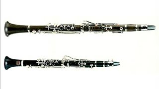 Comparison  Eb vs Bb Clarinet [upl. by Adnarim]