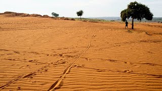 Madagascar  la sécheresse provoque une grave crise alimentaire [upl. by Itram259]