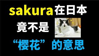 sakura在日本竟不是樱花的意思？日语知识小科普 [upl. by Yt26]