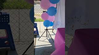 Gender reveal ideas [upl. by Inanak]