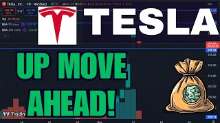 Tesla Stock Price Analysis Next Target for Tomorrow in TSLA Stock [upl. by Urania]