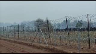 Migranci koczujący po stronie białoruskiej opuszczają obozowisko  Poland Belarus border conflict [upl. by Gascony]