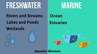 Aquatic Biomes [upl. by Louanne]