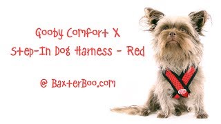 Gooby Comfort X StepIn Dog Harness  Red [upl. by Paquito]