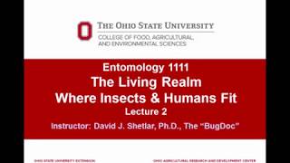 Entomology 1111  2018  Lecture 3  The Living Realm  Part 1 [upl. by Fonville983]