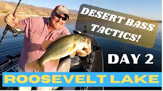 Desert Bass Tactics  Roosevelt Lake Arizona bassfishing basstactics arizonafishing [upl. by Pam]