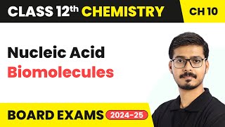 Nucleic Acid  Biomolecules  Class 12 Chemistry Chapter 10  CBSE 202425 [upl. by Huxley]