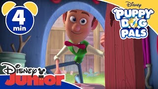 Puppy Dog Pals  Il bastone appuntito  Disney Junior Italia [upl. by Ahsela]