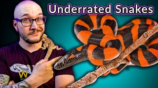 Top Five MOST Underrated Snakes That You Didnt Even Know Existed [upl. by Isac523]