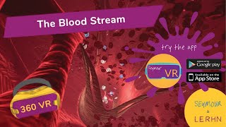 Swim Along the Arteries and Through the Heart as part of the Blood Stream in 360° VR [upl. by Anierdna]