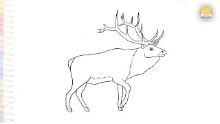 Elk drawing easy  Art tutorial  How to draw an Elk step by step  artjanag [upl. by Akeinahs844]