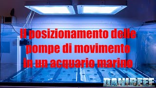 Come posizionare le pompe di movimento in un acquario marino [upl. by Landing176]