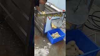 Effortlessly Peel Potatoes with Our Potato Peeling Machine potatoes peelingmachine [upl. by Arakahs860]