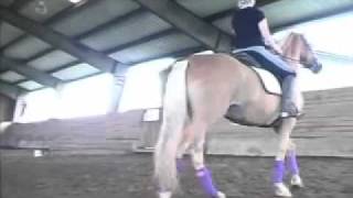 Beginner Dressage Rider Learns About Using the Hips to Turn the Horse [upl. by Aeduj869]