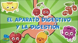 EL APARATO DIGESTIVO Y LA DIGESTIÓN  Videos Educativos para Niños [upl. by Gresham]