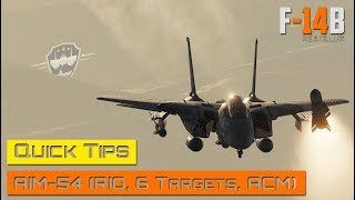 DCS World  F14 Tomcat  AIM54 Quick Tips RIO 6 Targets ACM [upl. by Hsizan507]