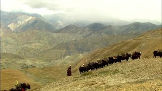 Los reinos del Himalaya NómadasDocumental [upl. by Rotberg904]