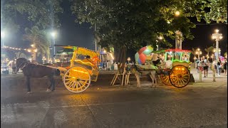 Dumaguete Night Life dumaguete philippines travel [upl. by Icyak45]