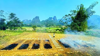 How I built my vegetable garden  Steps to have a beautiful large vegetable garden [upl. by Ellerud]