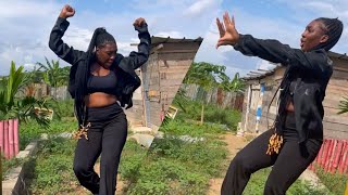 Acebergtm  Danca Dance Video by mishaaofficiel [upl. by Nirat]