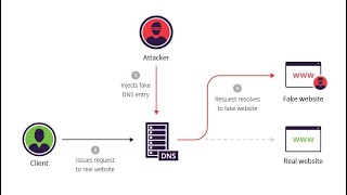 DNS SPOOFING ATTACK USING ETTERCAP 2022  BePractical [upl. by Barth147]