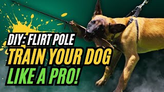 How to Make and Use a Flirt Pole in Dog Training [upl. by Arocet]