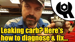 How To Fix A Surging Carburetor A Complete Guide [upl. by Oirtemed]