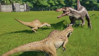 2 Spinoraptor VS Spinosaurus  Jurassic World Evolution [upl. by Clarkin]