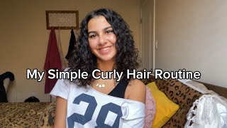 My Daily Curly Hair Routine  Frizzy to Defined Curls [upl. by Enella]