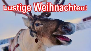 Lustige amp witzige Weihnachten sowie ein Frohes Fest  Frohe Weihnacht Jetzt gibts was zum Lachen [upl. by Lekcar542]