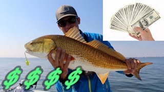 How to Make Lots of Money Fishing  Is It Possible [upl. by Erline]