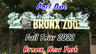 Bronx Zoo Full Tour  Bronx New York  Part One [upl. by Curtis105]