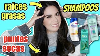 SHAMPOOS PARA RAÍCES GRASAS Y PUNTAS SECAS DEL SÚPER Y FARMACIA  MARIEBELLE COSMETICS [upl. by Mirna]