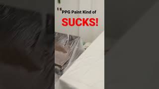 PPG Manor Hall Paint Good or Bad [upl. by Alolomo241]