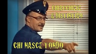 14  CHI NASCE TONDO [upl. by Aihsenet]