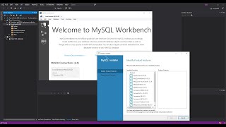 MySQL Database for Visual Studio  Getting Started [upl. by Yentyrb]