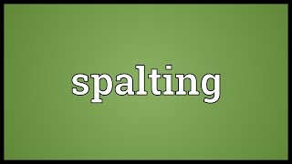 Spalting Meaning [upl. by Akinnej453]