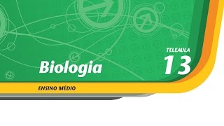 13  Posso fazer a barba  Biologia  Ens Médio  Telecurso [upl. by Hershell]