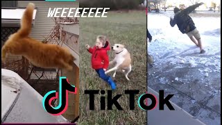 WEEEEEEEEE the obada weeeeeee TikTok compilation [upl. by Dinnage62]