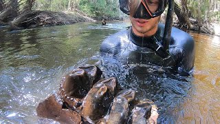 MASTODON JAW DISCOVERED in Florida [upl. by Danby864]