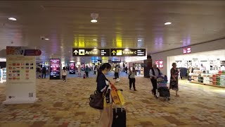 Singapore Airport Arrival Terminal 1 2025 SIN [upl. by Jeremie]