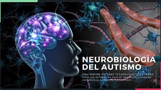 NEUROBIOLOGÍA DEL AUTISMO INTRODUCCIÓN [upl. by Atwood]