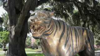 Savannah State University SSU Video [upl. by Yvi85]