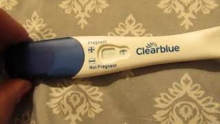 10 DPO Pregnancy Test Clear Blue Rapid Detection [upl. by Aielam]