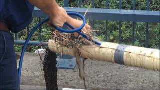 Double Ended Root Ranger Nozzle and The Impossible Tree Root Blockage Challange [upl. by Camm]