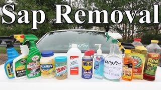 The BEST Tree Sap Removal Product for your Car is [upl. by Miculek]